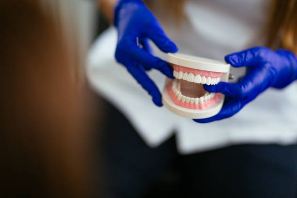 Emergency Dental Services in Calverton, MD