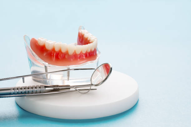 Best Dental Exams and Cleanings  in Calverton, MD